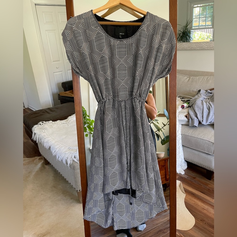 Greylin designer silk dress